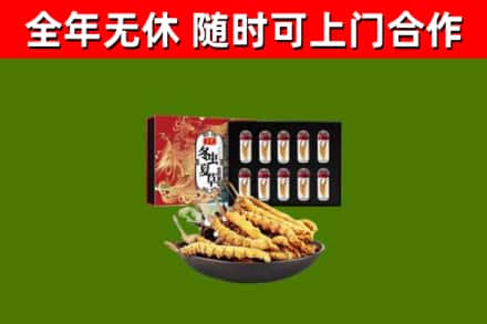 怒江回收冬虫夏草价格